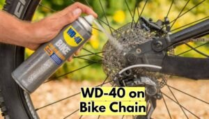 WD-40 on Bike Chain