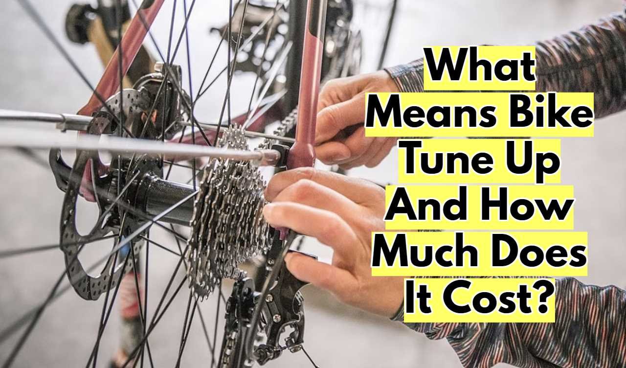 What Means Bike Tune Up And How Much Does It Cost? Cycling Inspire