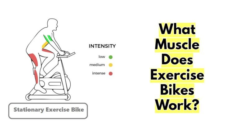 What Muscle Does Exercise Bikes Work Cycling Inspire