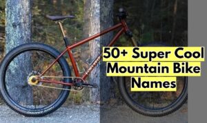 Mountain Bike Names